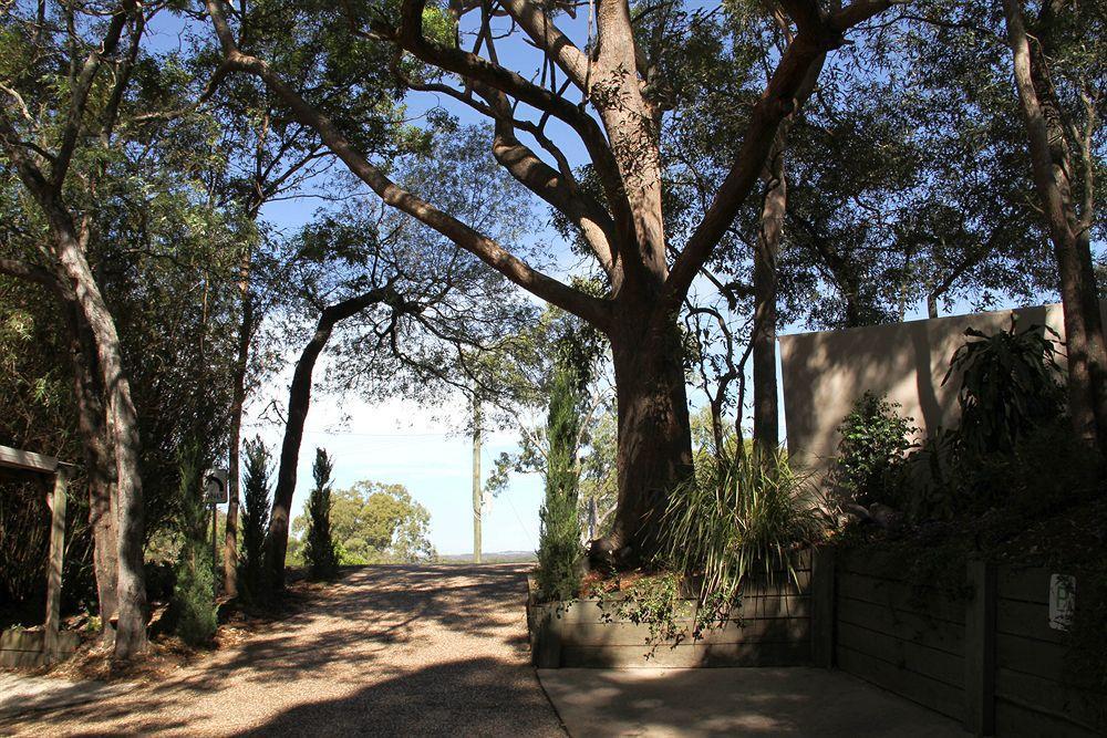 Arabella Guesthouse Alexandra Headland Dış mekan fotoğraf